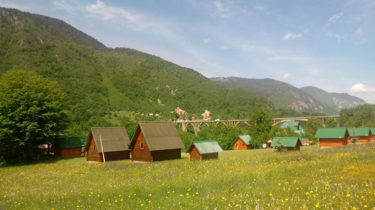 Kamp Rafting Kljajevica Luka Villa Pljevlja Bagian luar foto