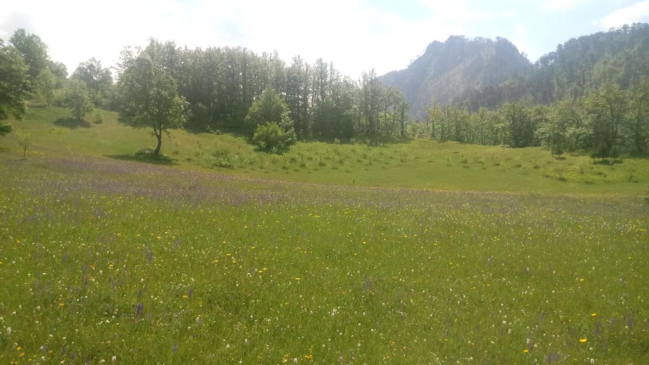 Kamp Rafting Kljajevica Luka Villa Pljevlja Bagian luar foto